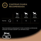 Comida h&uacute;meda perro C&eacute;sar junior pavo ternera 150g