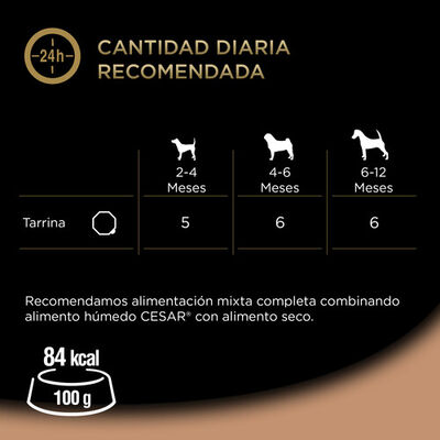 Comida h&uacute;meda perro C&eacute;sar junior pavo ternera 150g