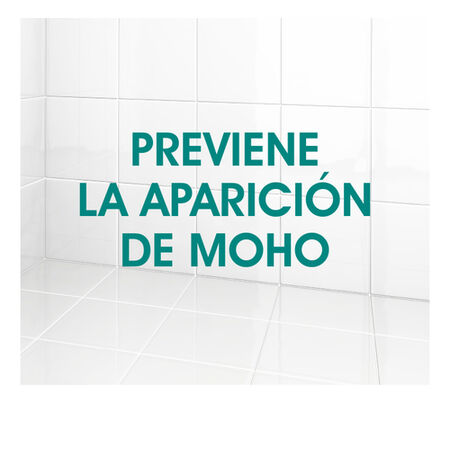Limpiador desinfectante Sanytol 750ml baño