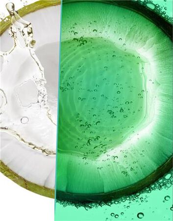 Champú fortificante Fructis 380ml raíces grasas y puntas secas