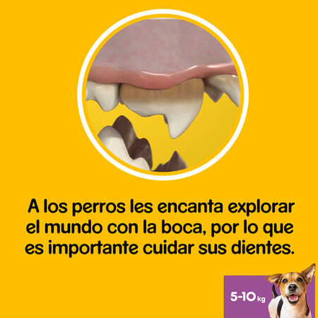 Snack higiene dental perro Dentastix razas pequeñas 110g