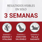 Pienso perro One adulto buey y arroz 1,5kg