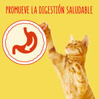 Alimento para gato Friskies buey pollo 400gr