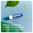 Protector labial Liposan 24h hidratación intensa