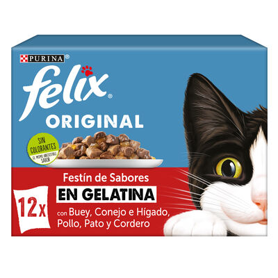 Comida h&uacute;meda gato gelatina F&eacute;lix sabores pack 12