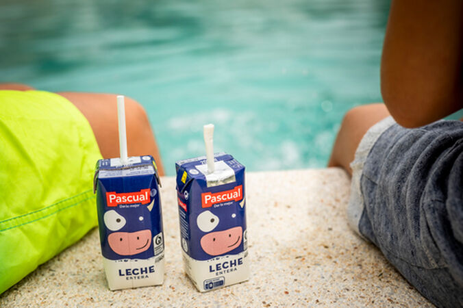 Leche Pascual 200ml pack 6 entera
