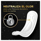 Compresa cl&aacute;sica sin alas Ausonia 9 unidades noche