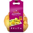 Patata Princesa Amandine 1,5kg