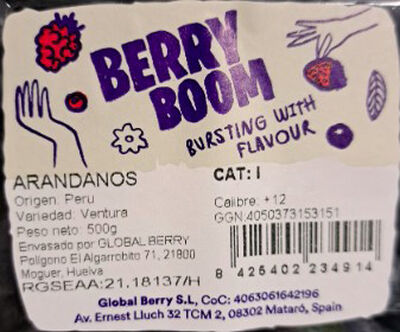 Ar&aacute;ndano bandeja 500g