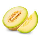 Mel&oacute;n Galia