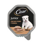 Comida h&uacute;meda perro C&eacute;sar junior pavo ternera 150g