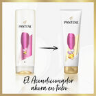 Acondicionador Rizos Definidos Pantene Nutri Pro-V 325ML