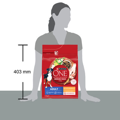 Alimento para perros PURINA ONE&reg; MEDIUM/MAXI >10kg Adulto Pollo y Arroz 2,5kg