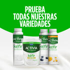 Kéfir bífidus bebible sabor arándanos Danone Activia 320g