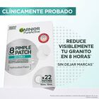Parche invisible para granitos Garnier 22 unidades
