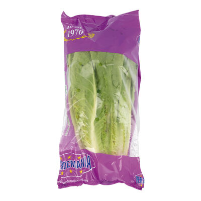 Lechuga Romana 1 unidad