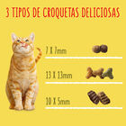 Alimento para gato Friskies buey pollo 400gr
