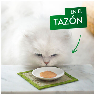 Snack gato Purina Pure gourmet salmón 5 uds