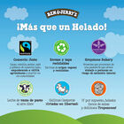 Helado tarrina Ben and Jerrys chocolate Fudge Brownie 465ml