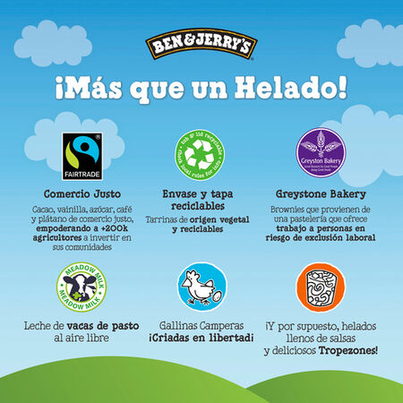 Helado tarrina Ben and Jerrys chocolate Fudge Brownie 465ml