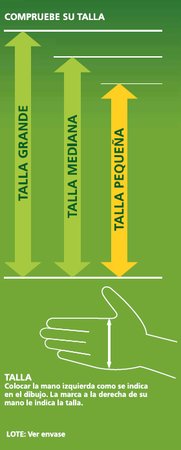 Guantes de algodón interior Lanta talla pequeña