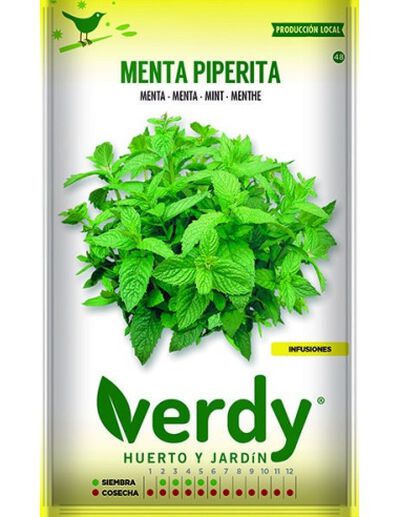 Semilla Verdy menta piperita