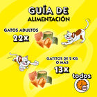 Snack para gato Catisfactions aves a la brasa 55g