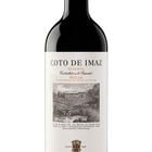 Vino tinto DO Rioja Coto de Imaz reserva