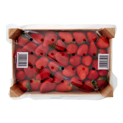 Fres&oacute;n caja 1kg