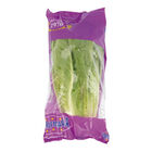 Lechuga Romana 1 unidad