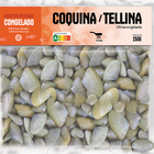 Coquina/tellina 250g