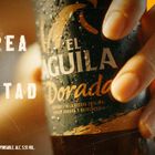 Cerveza rubia especial El Águila Dorada lata 33cl