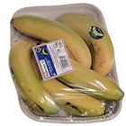 Pl&aacute;tano Canario