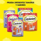 Snack gato Catisfactions pollo 60g
