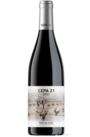 Vino tinto DO Ribera del Duero Cepa 21 cosecha