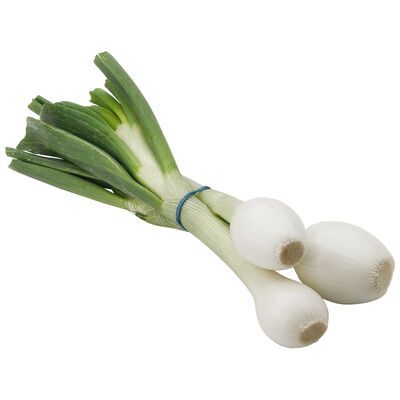Cebolleta blanca manojo