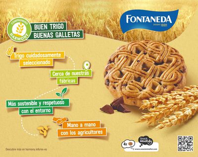 Galletas de chocolate y 5 cereales Yayitas Fontaneda 600g