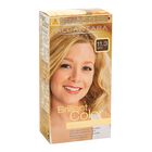 Tinte de cabello Alc&aacute;ntara Brilliant Color n&ordm; 11.3 oro