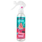 Ambientador Multiusos Fruit Company 250 ml Sandia