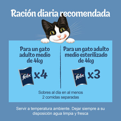 Comida h&uacute;meda gato gelatina F&eacute;lix sabores pack 12