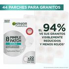 Parche invisible para granitos Garnier 22 unidades
