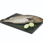 Corvina origen Alicante 1,5kg aproximadamente