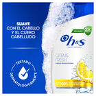 Champ&uacute; con f&oacute;rmula citrus fresh H&S 330ml