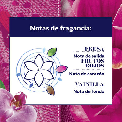 Suavizante concentrado Mimosín Rosas 50 lavados