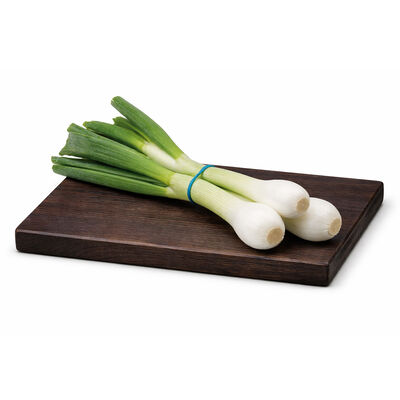 Cebolleta blanca manojo