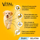 Comida h&uacute;meda perros junior Pedigree vital 400g