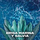 Desodorante Spray Axe 48h Fresh 150 ml Marine