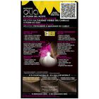 Tinte de cabello sin amoníaco Garnier Olia nº 5 castaño claro