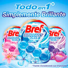 Limpiador Bref WC colgador 2 unidades &Aacute;rtico