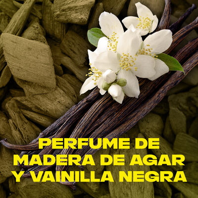 Desodorante en spray Axe All Day fres fragance 200ml gold temptation